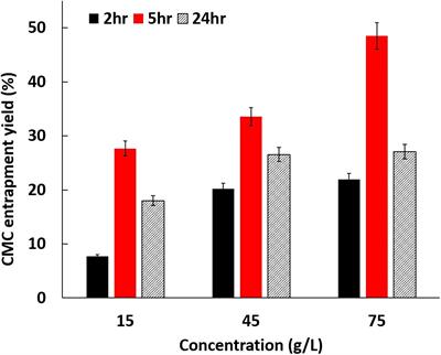 Carboxymethyl Cellulose (CMC) as a Template for Laccase-Assisted Oxidation of Aniline